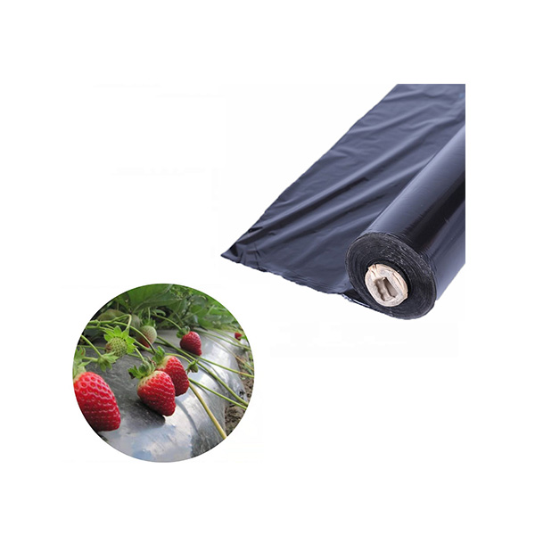 Compostable PLA Cling Film Food Packaging Plastic Wrap XCBIO