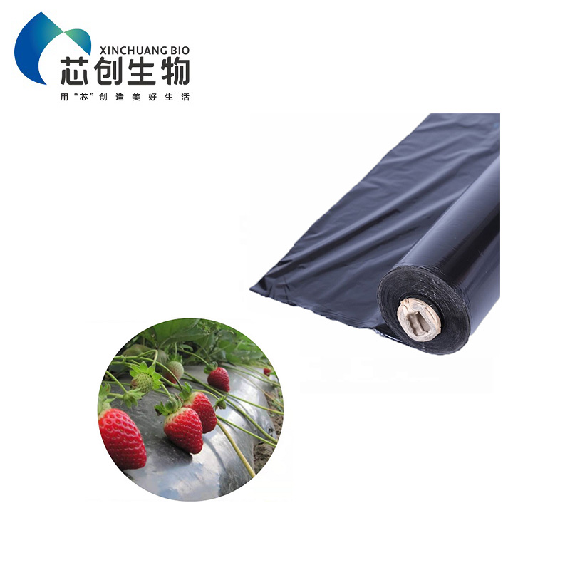 PLA Mulch Film Eco Friendly Plant Ground Cover Transparent