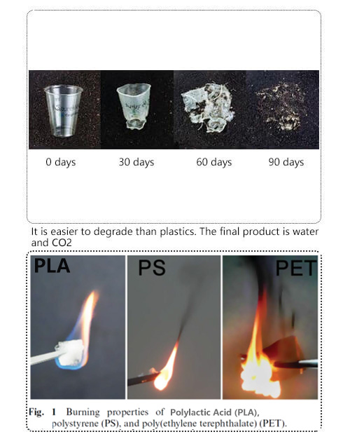 XCBIO Array image137