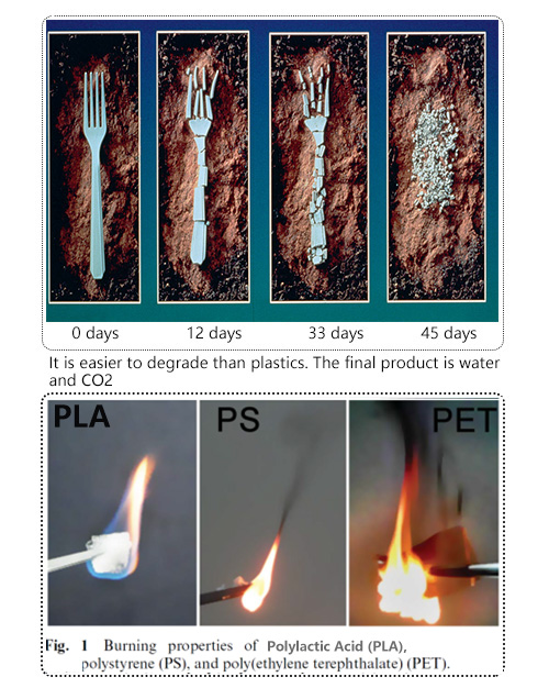 XCBIO Array image14