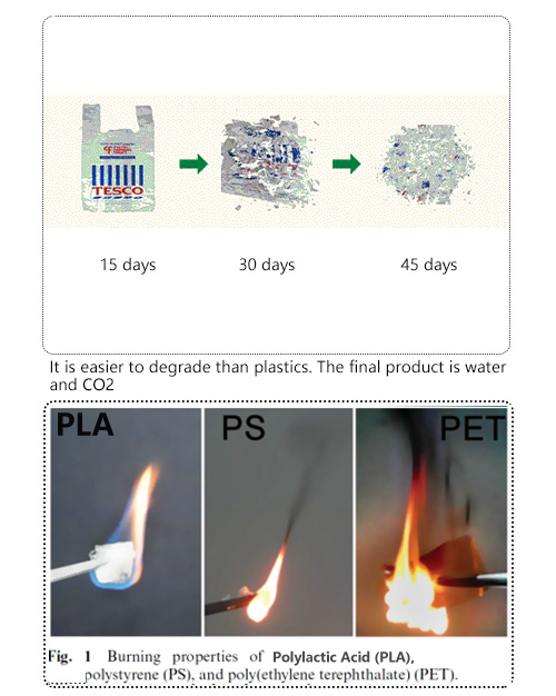 XCBIO Array image162