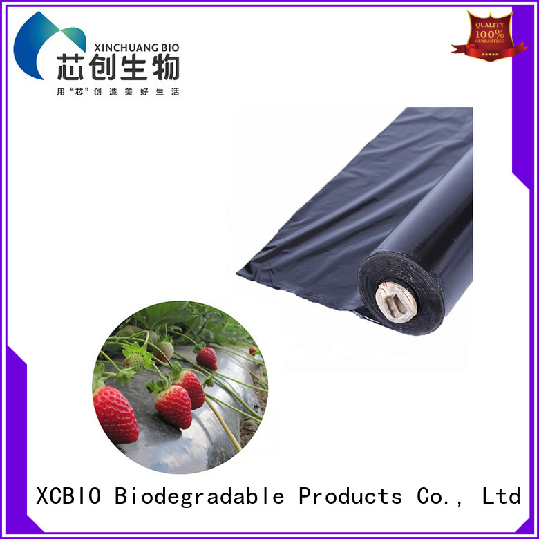 fine-quality compostable garbage bags supplier for office