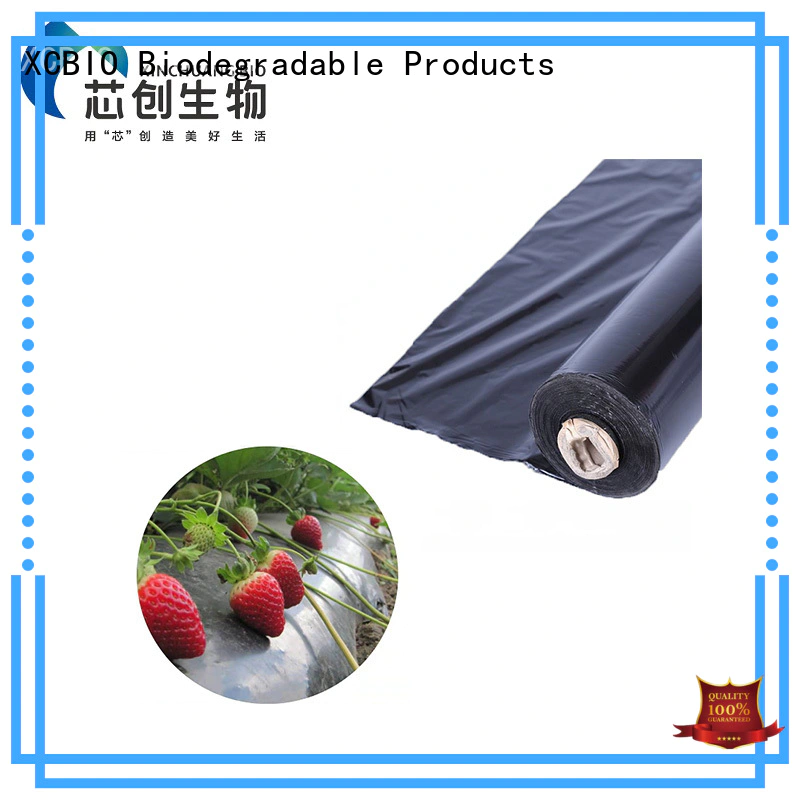 XCBIO compostable produce bags suppliers for party